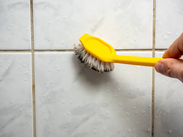 Best Mold Testing and Inspection Services in Green Cove Springs, FL