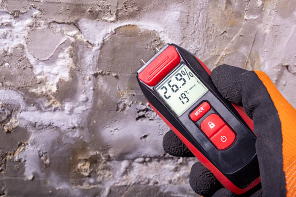 Best Bathroom Mold Remediation in Green Cove Springs, FL