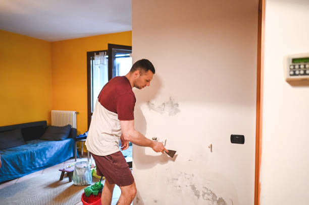 Best Mold Remediation for Schools in Green Cove Springs, FL